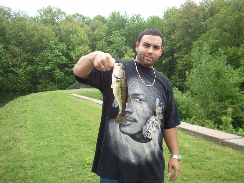 Bass
