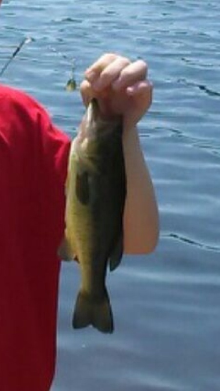 Bass near Clayton