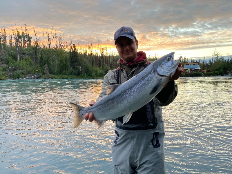 Female Sockeye Salmon #Alaska