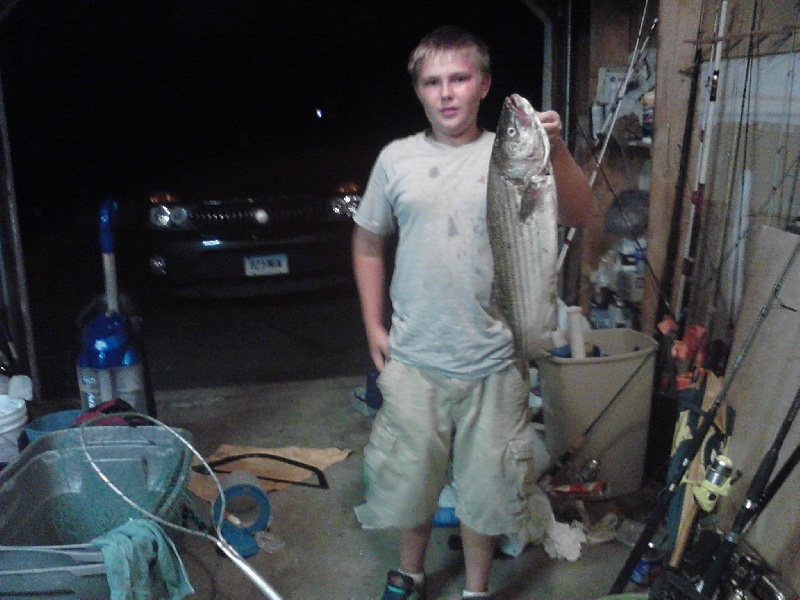 niantic striper