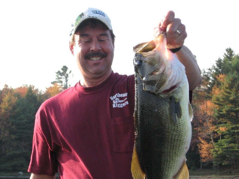 7 lbs's