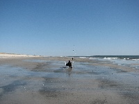 Shall I toss my rod in? Fishing Report
