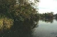 Christina River